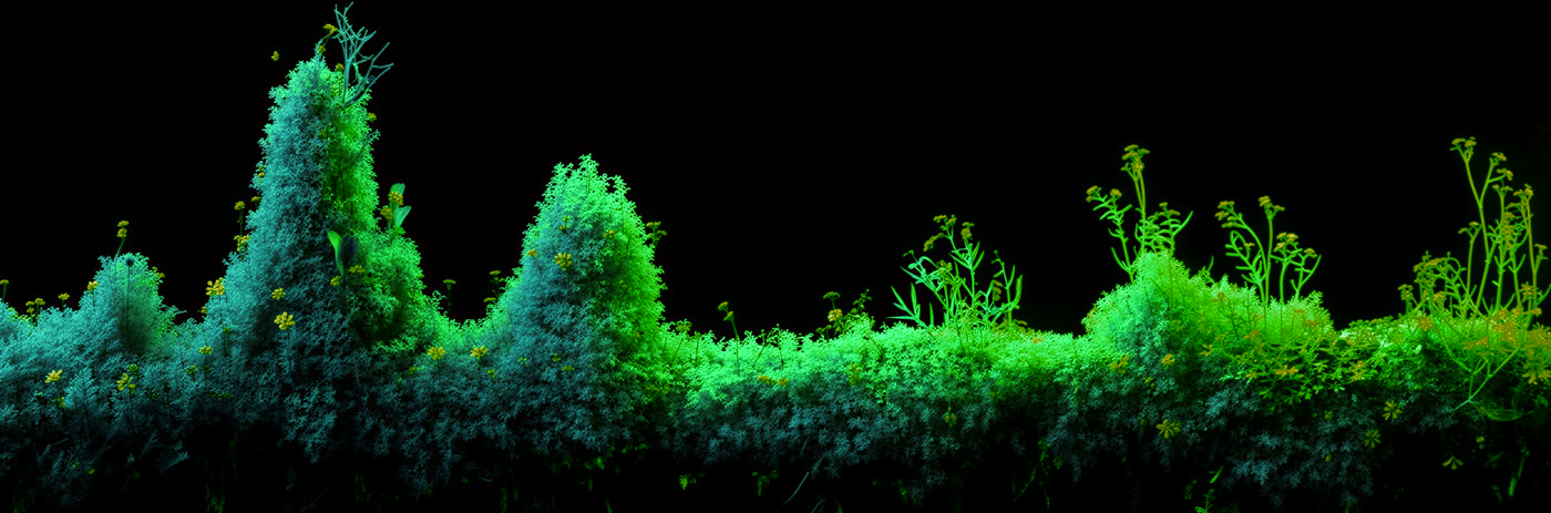 A mossy terrain map traced with glowing pathways — routes and integrations mapped